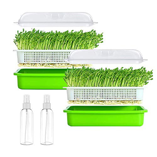 Seed Sprouter Tray Container Wheatgrass Grower Lid Sprouting Bean Mung BPA Free 